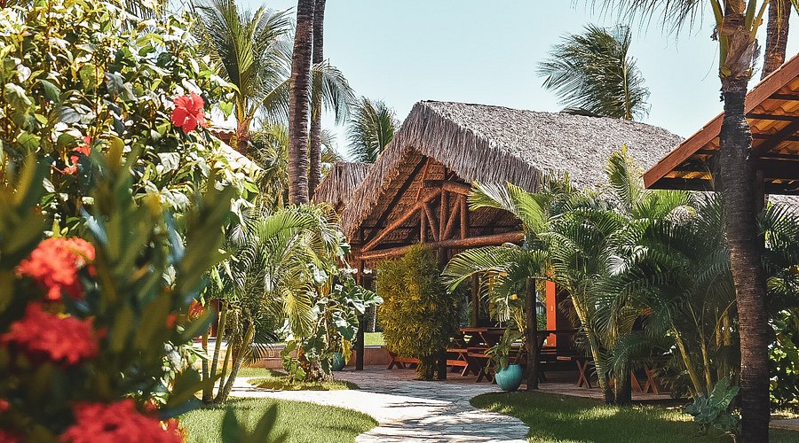 Tropical accommodation garden in Cumbuco